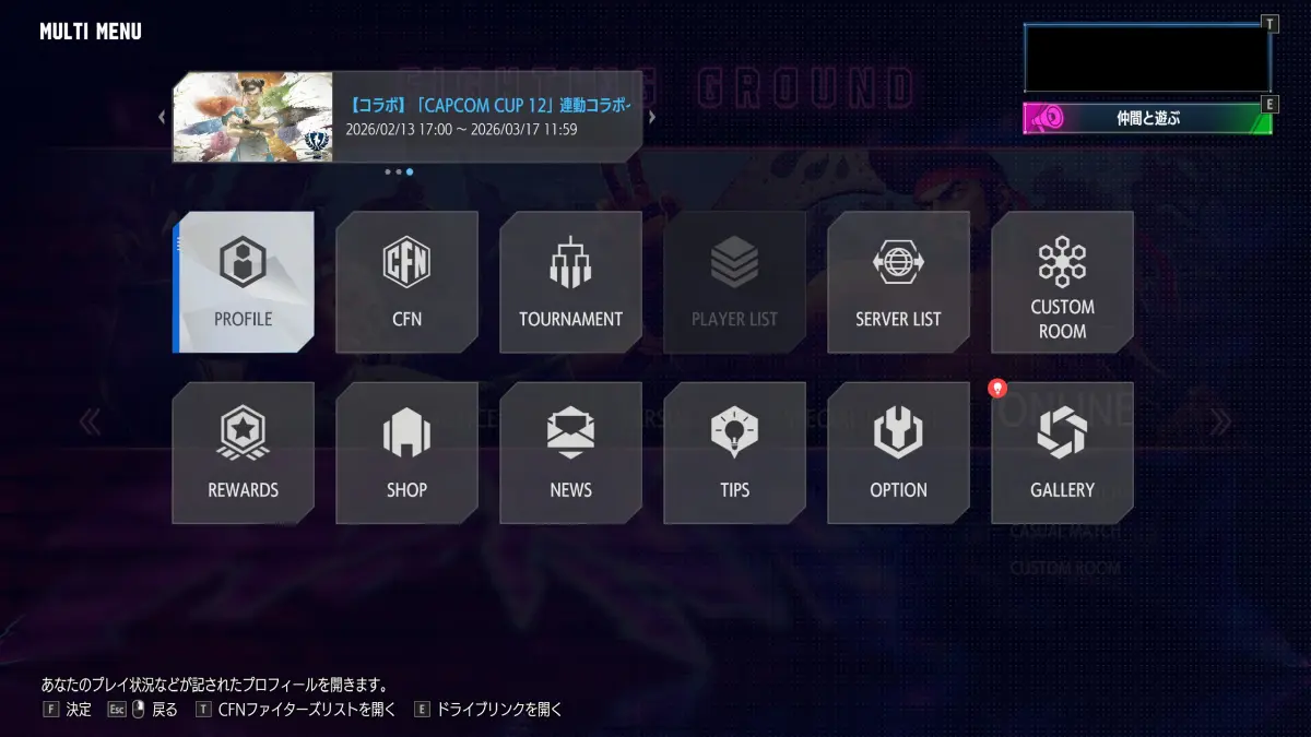 Multi Menu screen with cursor on PROFILE icon